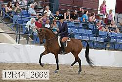 13r14_2668 proof