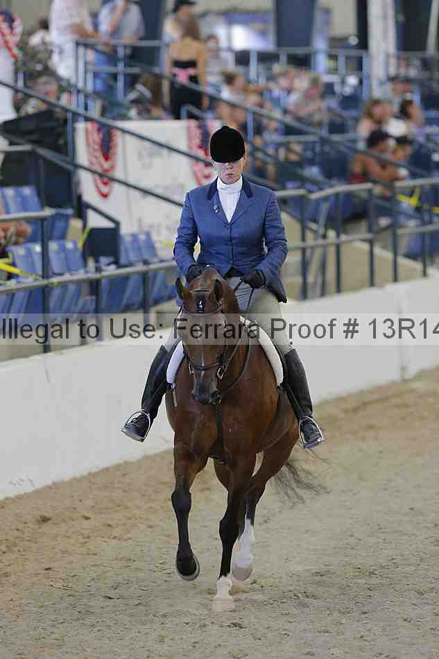 Proof 13r14_2669
