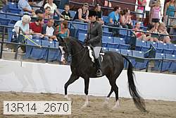 13r14_2670 proof