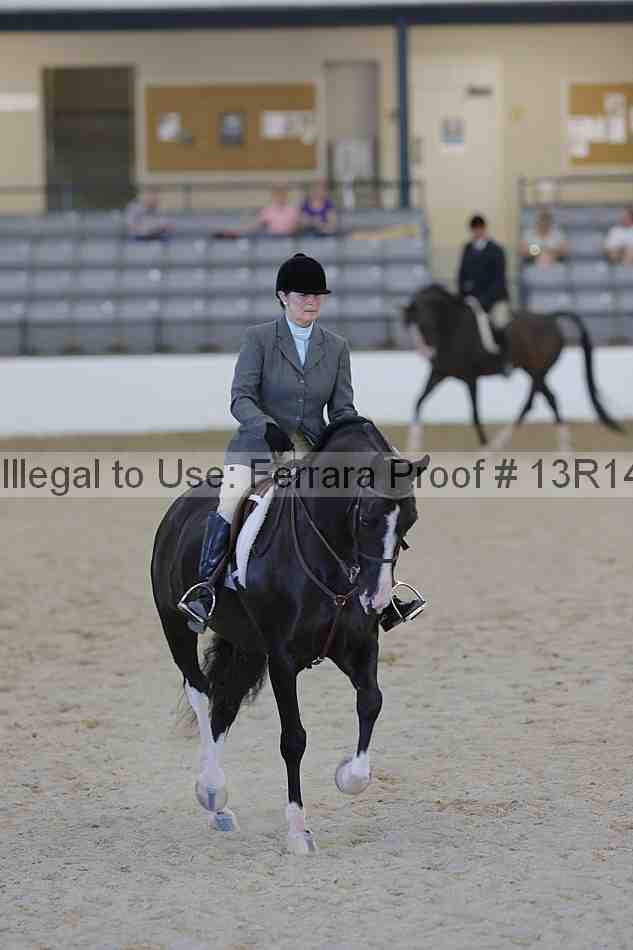 Proof 13r14_2671