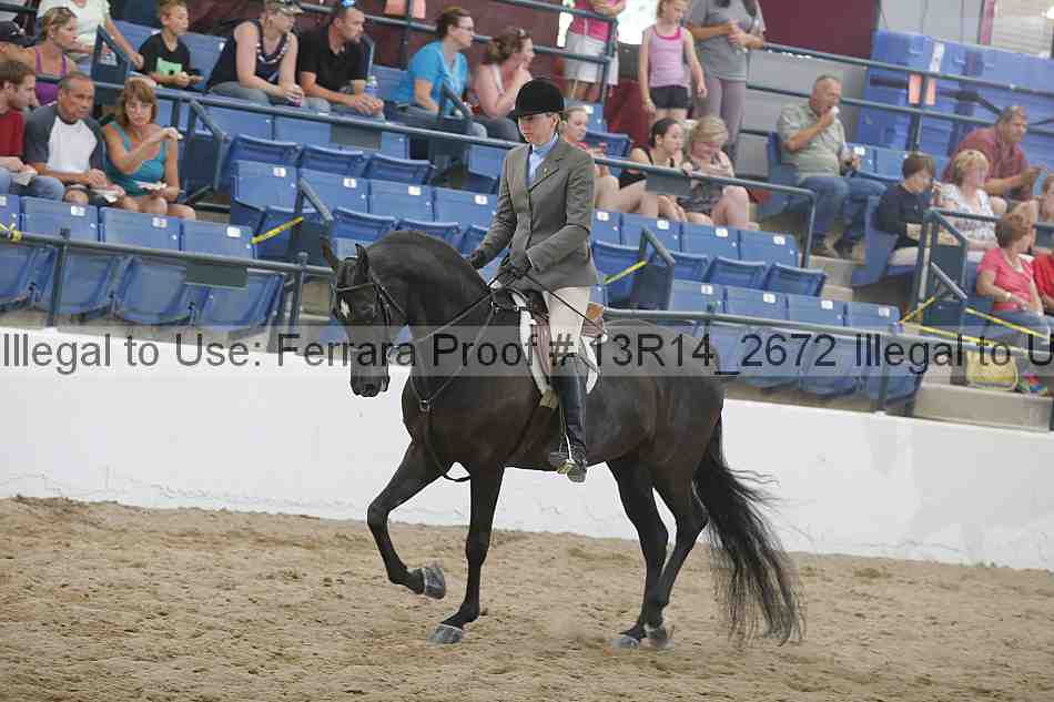 Proof 13r14_2672