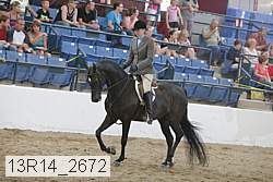13r14_2672 proof