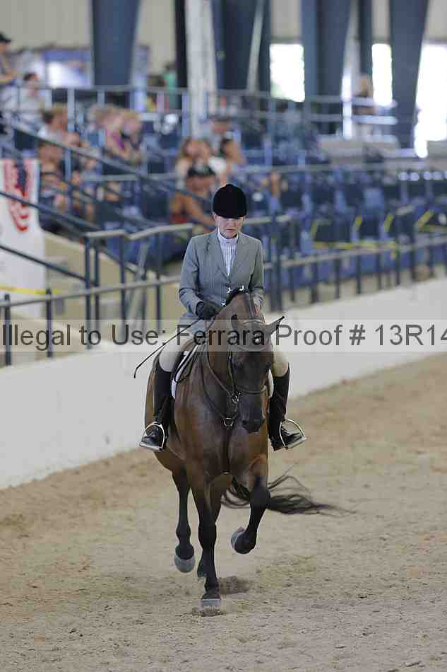Proof 13r14_2673
