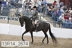13r14_2674 proof