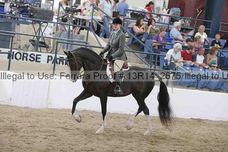 Proof 13r14_2675