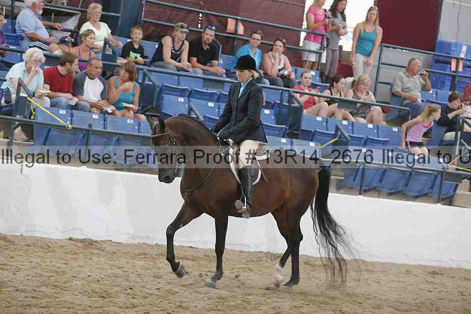 Proof 13r14_2676