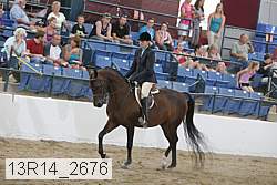 13r14_2676 proof