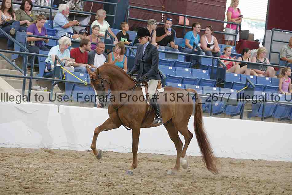 Proof 13r14_2677