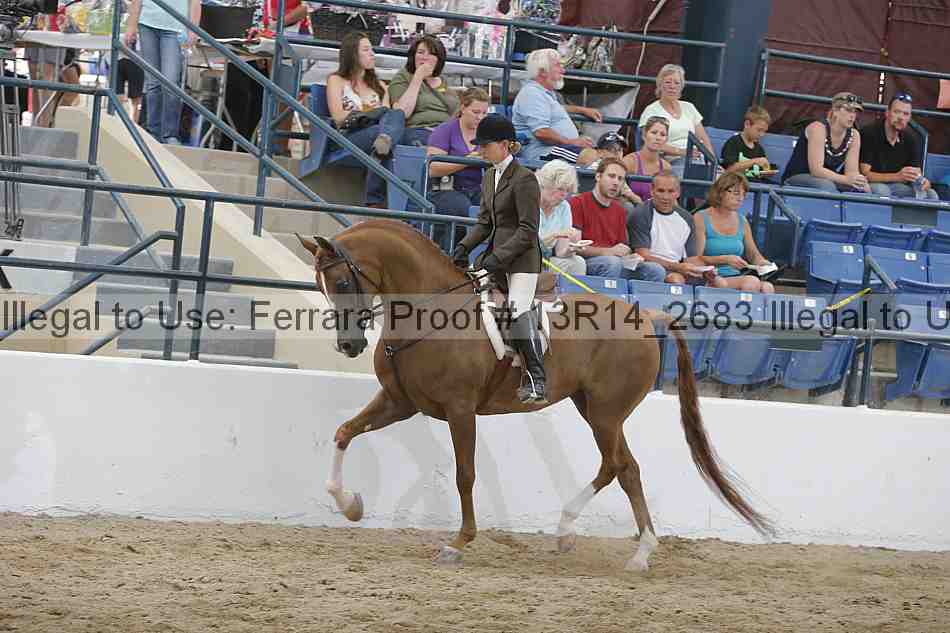 Proof 13r14_2683