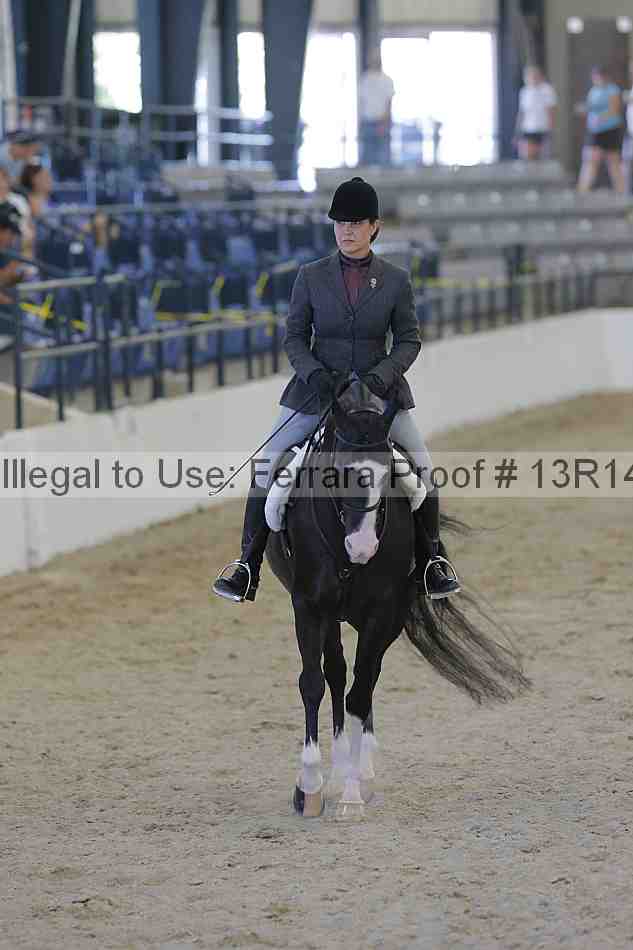 Proof 13r14_2685