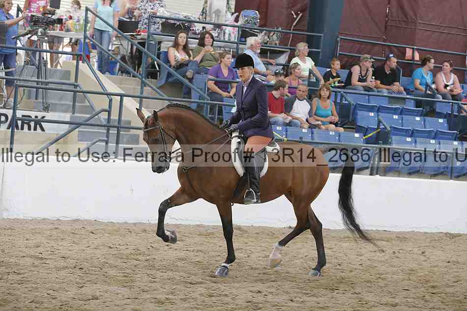 Proof 13r14_2686