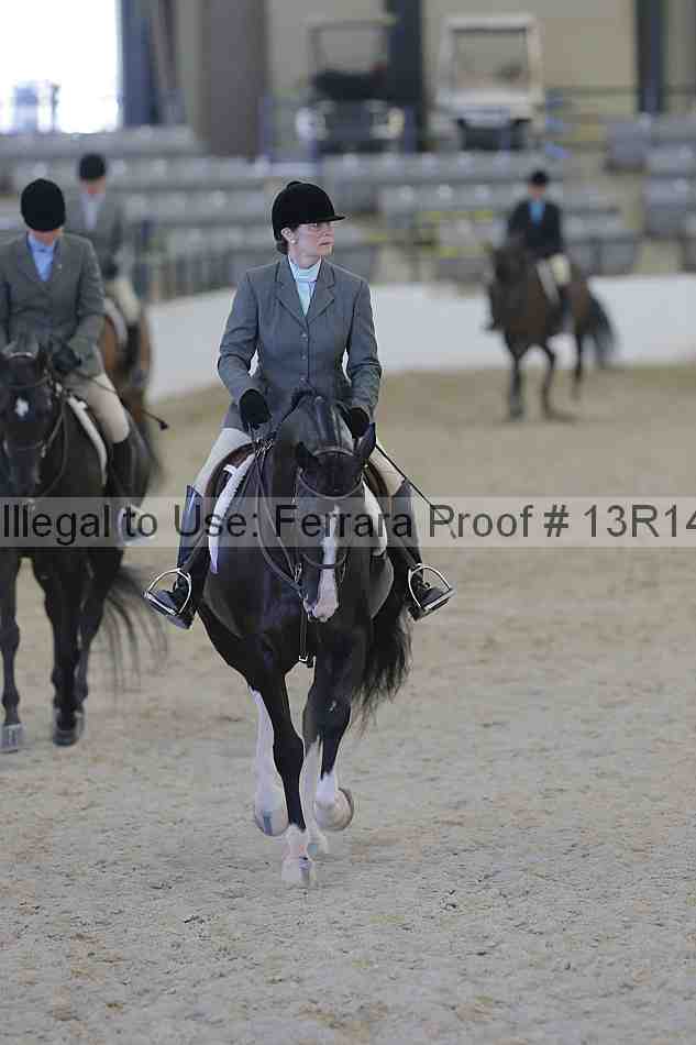 Proof 13r14_2687