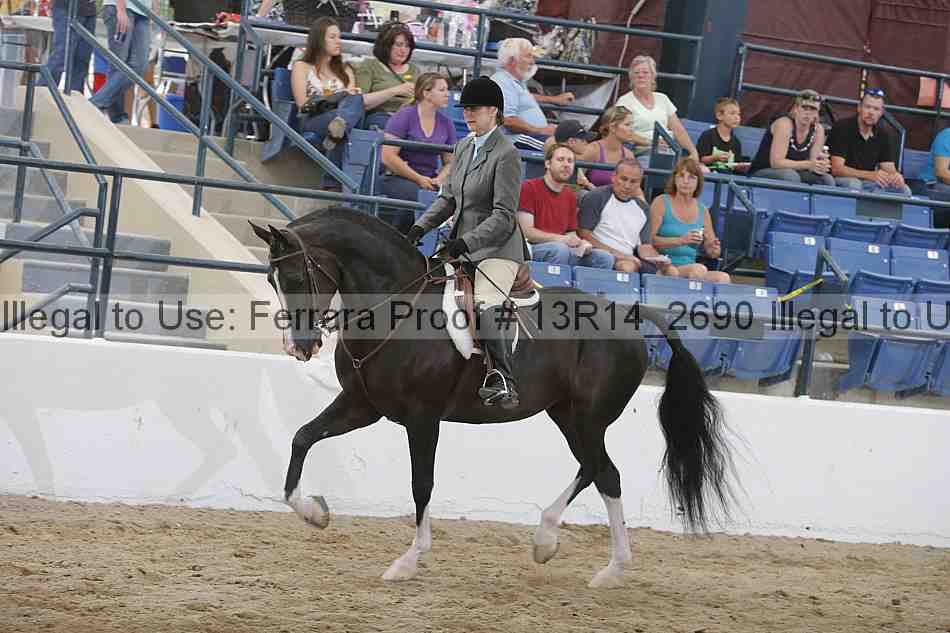 Proof 13r14_2690
