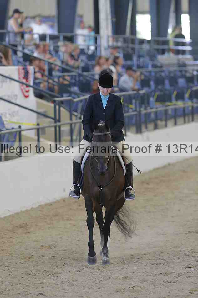 Proof 13r14_2691