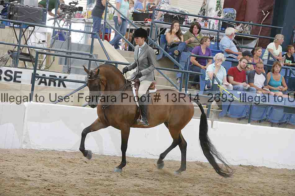 Proof 13r14_2693