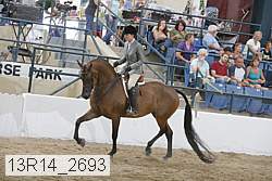 13r14_2693 proof