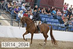 13r14_2694 proof