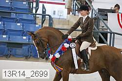 13r14_2699 proof