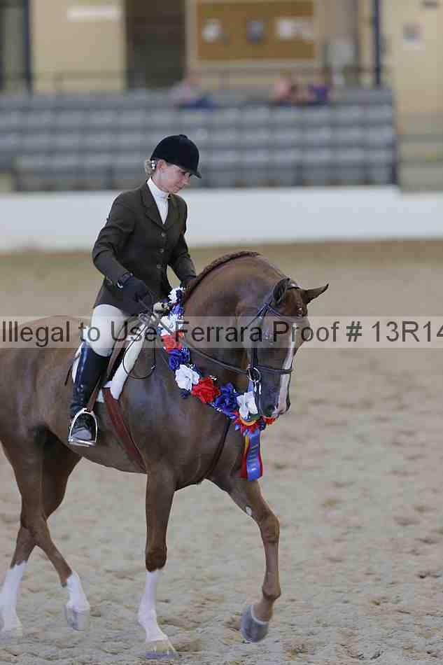 Proof 13r14_2701