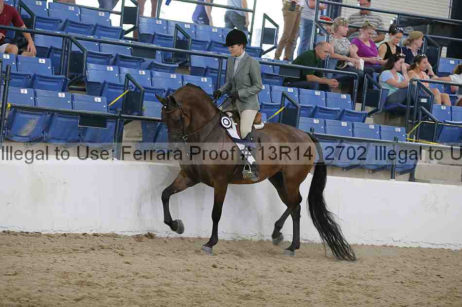 Proof 13r14_2702