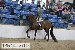 13r14_2702 proof