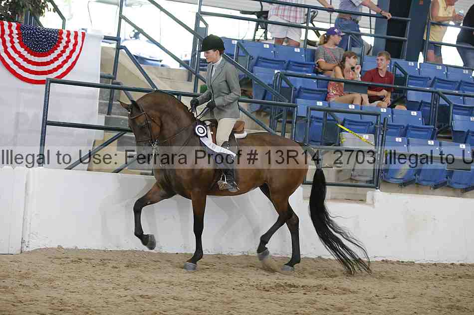 Proof 13r14_2703