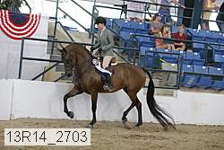 13r14_2703 proof