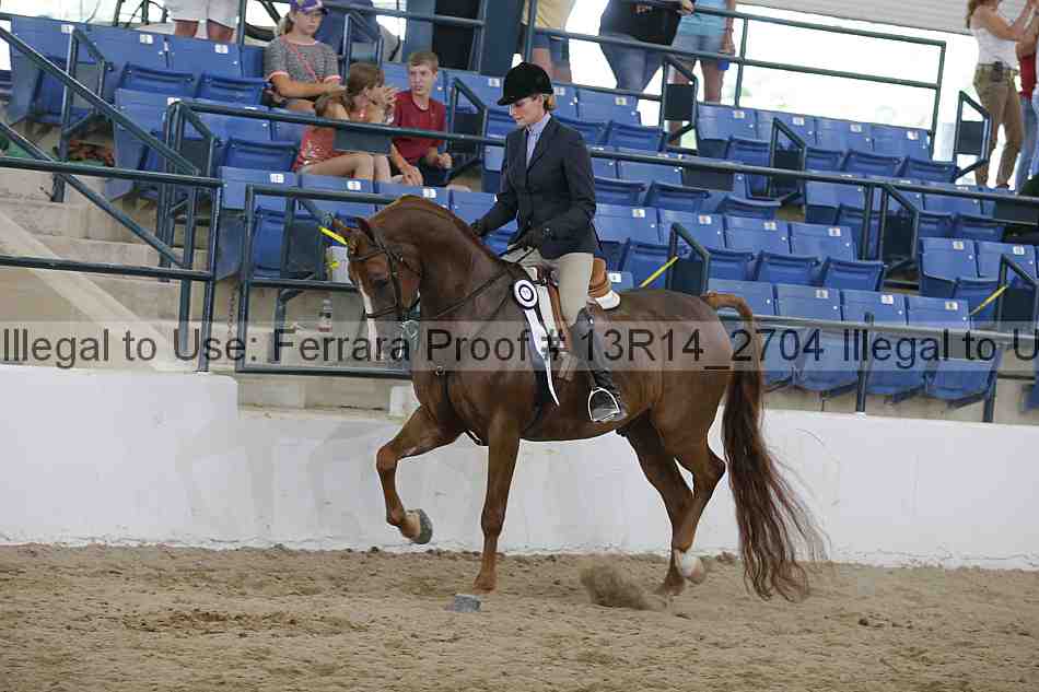 Proof 13r14_2704