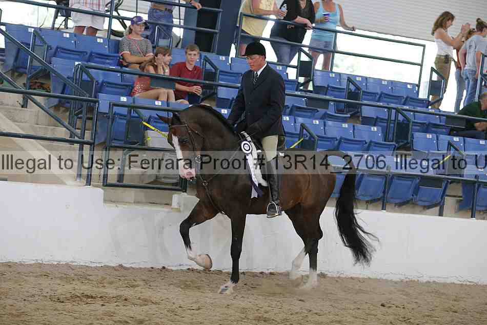Proof 13r14_2706
