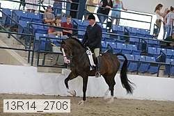 13r14_2706 proof