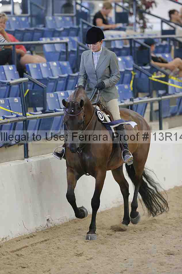 Proof 13r14_2707