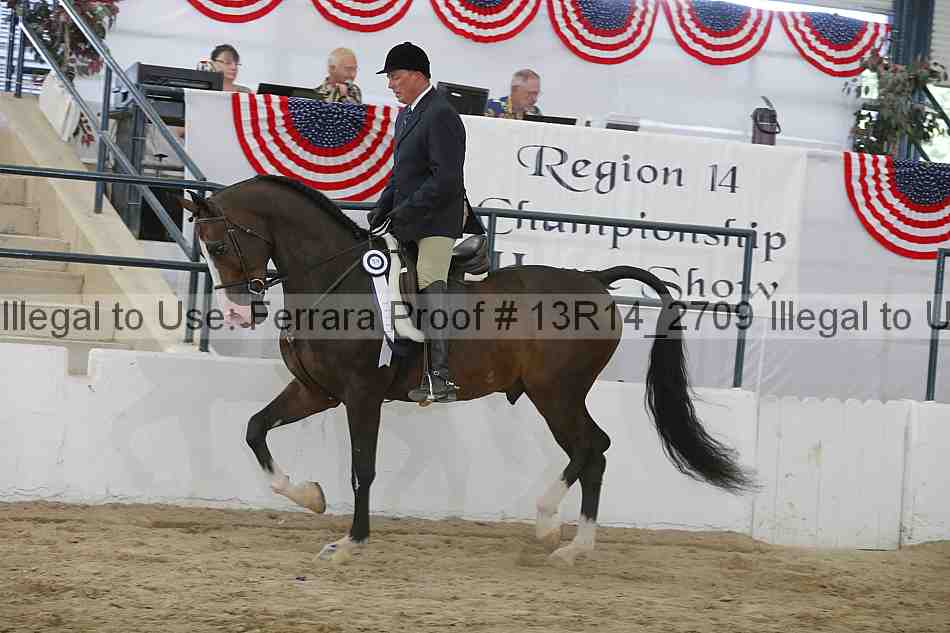 Proof 13r14_2709