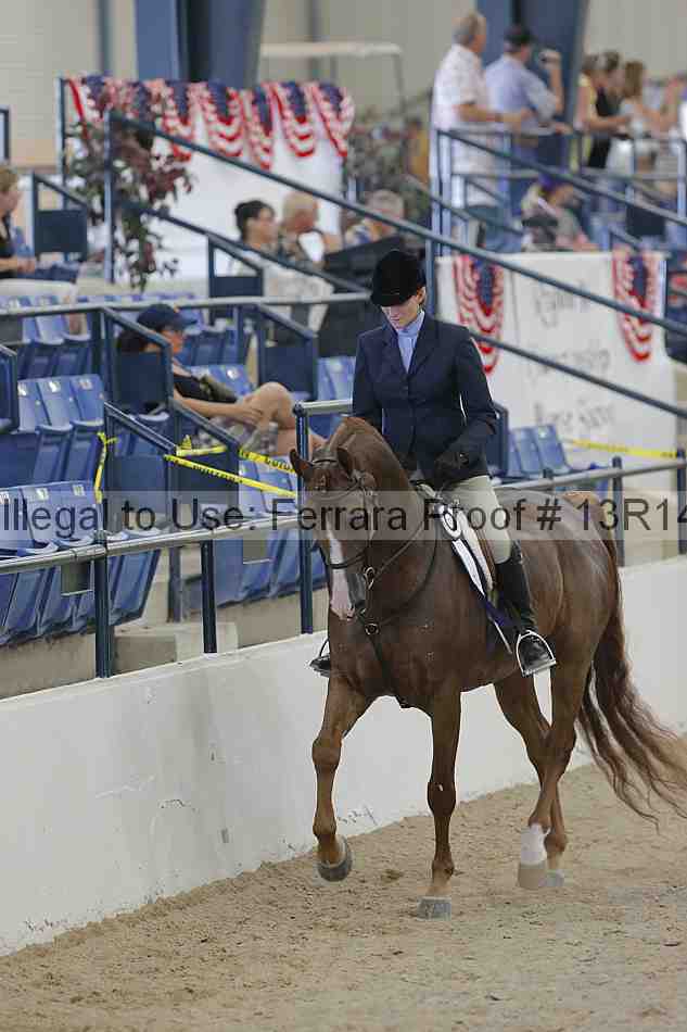 Proof 13r14_2710