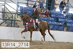 13r14_2714 proof