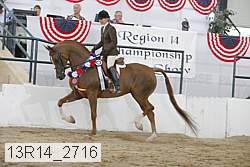 13r14_2716 proof