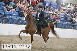 13r14_2732 proof