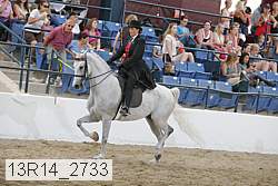 13r14_2733 proof