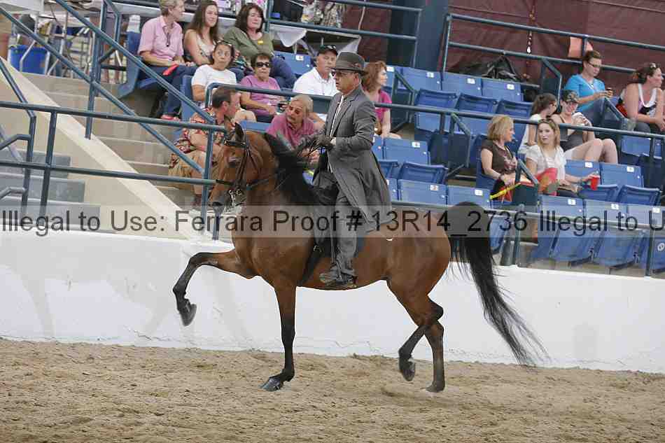 Proof 13r14_2736