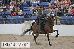 13r14_2741 proof