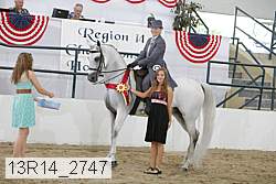 13r14_2747 proof