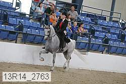13r14_2763 proof
