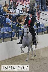 13r14_2767 proof