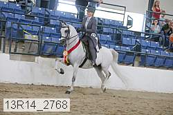 13r14_2768 proof