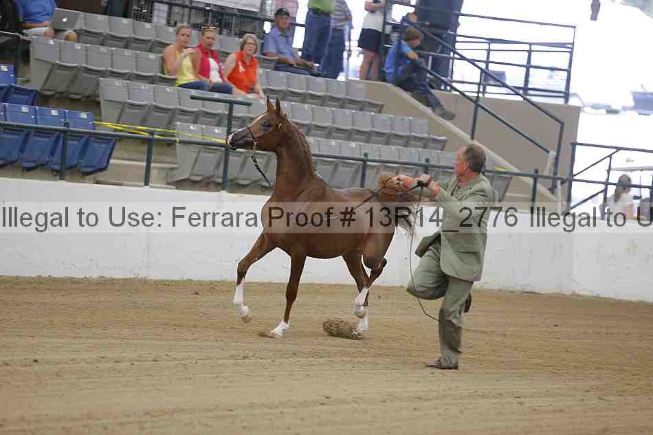 Proof 13r14_2776