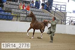 13r14_2776 proof
