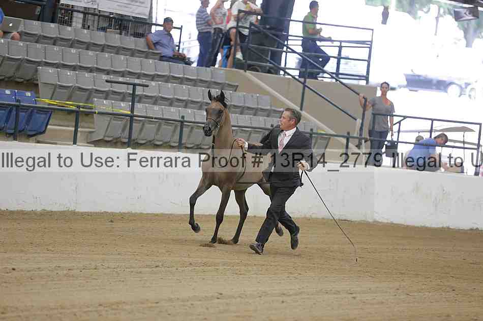 Proof 13r14_2779