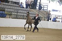 13r14_2779 proof
