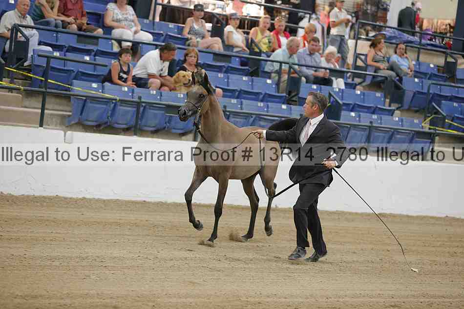 Proof 13r14_2780