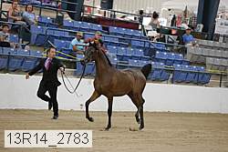 13r14_2783 proof