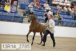 13r14_2785 proof